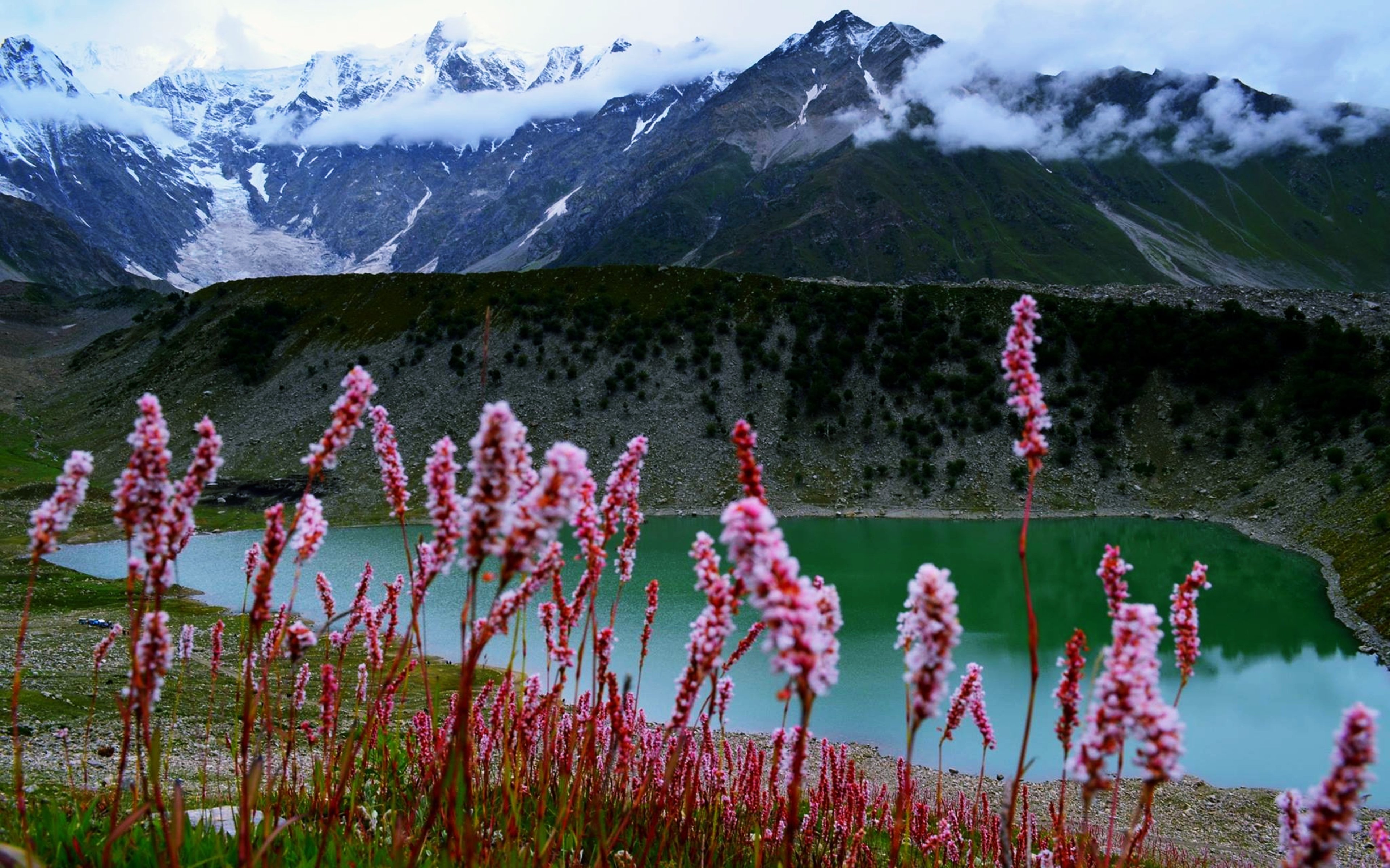 pakistan, Lake, Flower, Nature, Hill, Mountain, Earth, Landscape Wallpaper