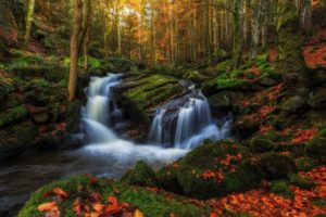 nature, Forest, Fall, Autumn, Waterfall, Leaf, Rock, Autumn