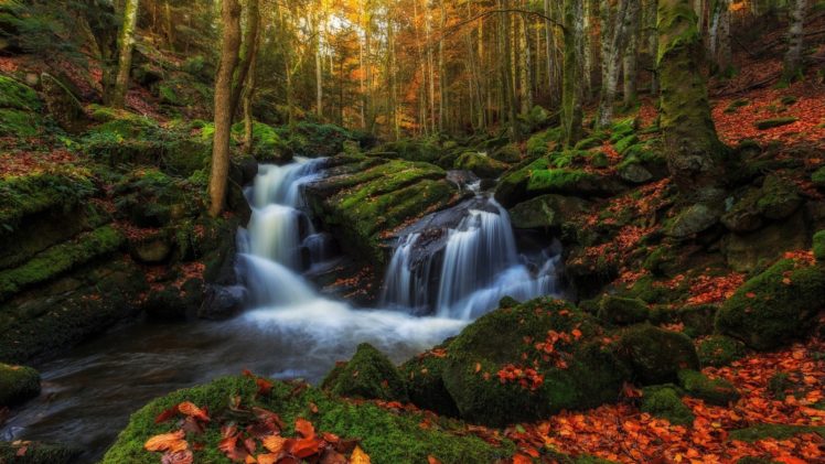 nature, Forest, Fall, Autumn, Waterfall, Leaf, Rock, Autumn HD Wallpaper Desktop Background