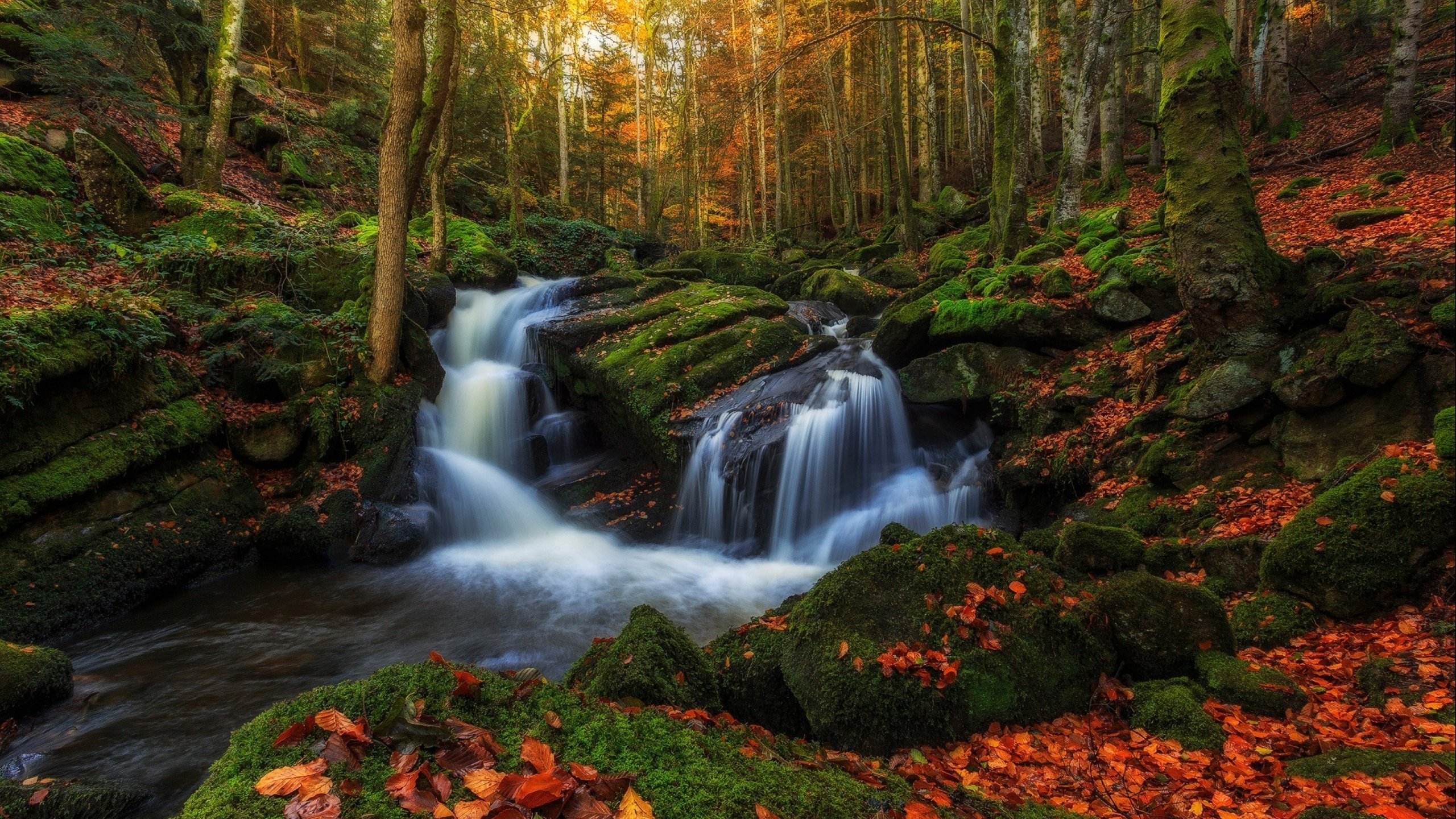 nature, Forest, Fall, Autumn, Waterfall, Leaf, Rock, Autumn Wallpaper