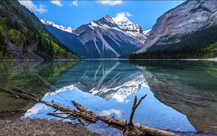 wood, Forest, Cliff, Mountain, Landscape, Reflection, Water, Lake, Nature HD Wallpaper Desktop Background
