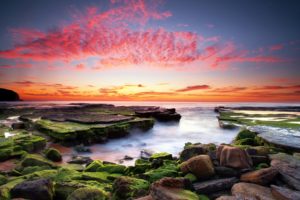 sunset, Moss, Seascape, Rock, Ocean, Nature