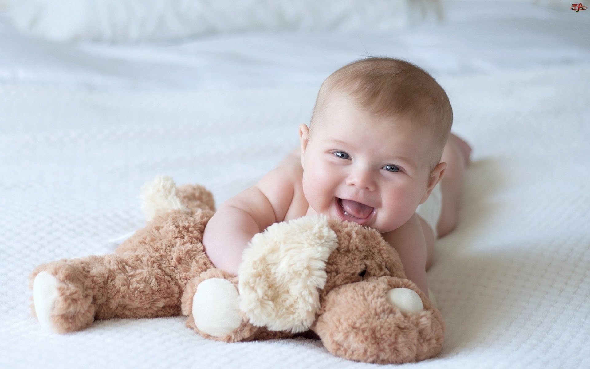 baby, Child, Children, Cute, Little, Babies Wallpaper