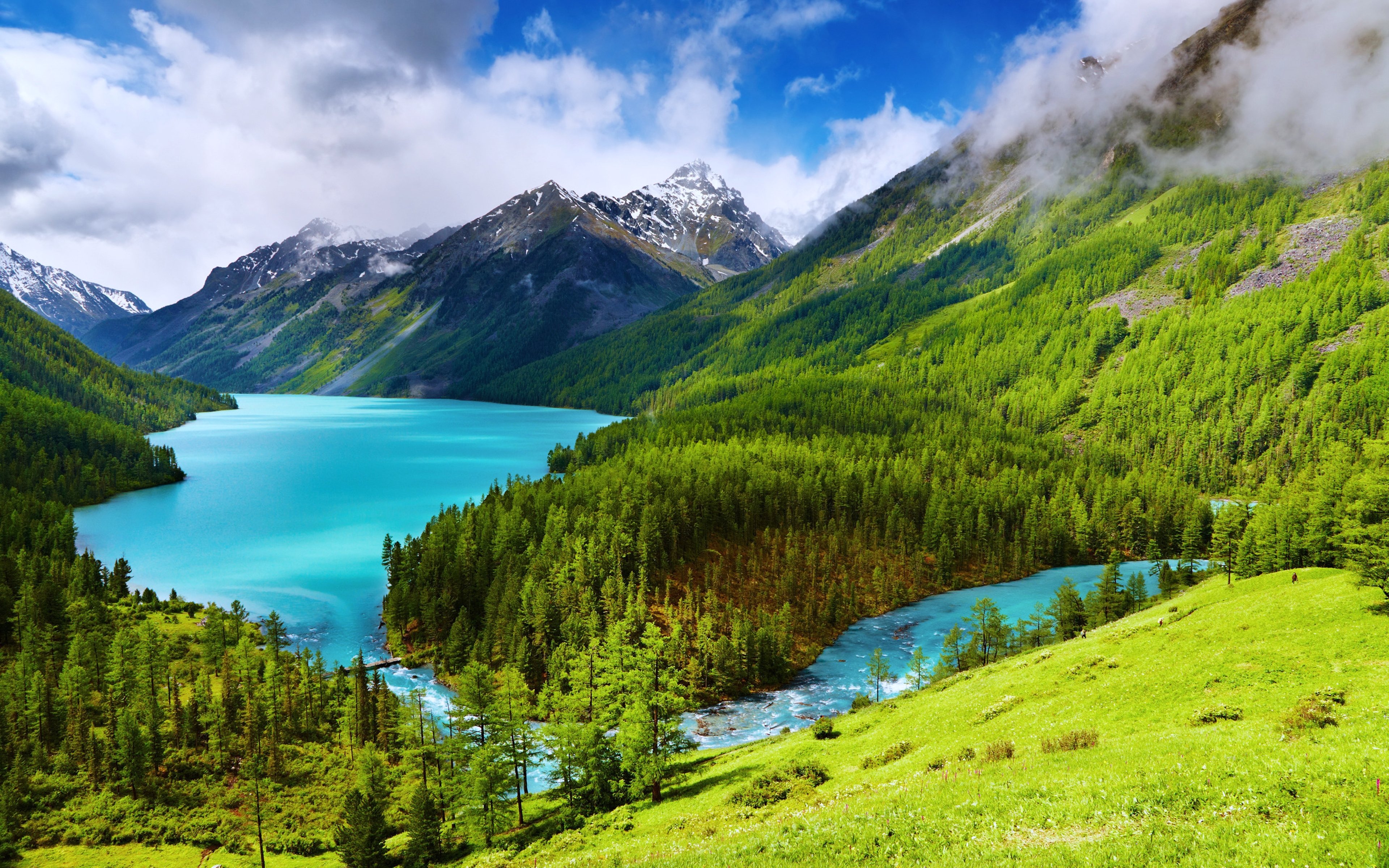 landscape, Hill, Tree, Mountain, Forest, Nature, Lake Wallpaper