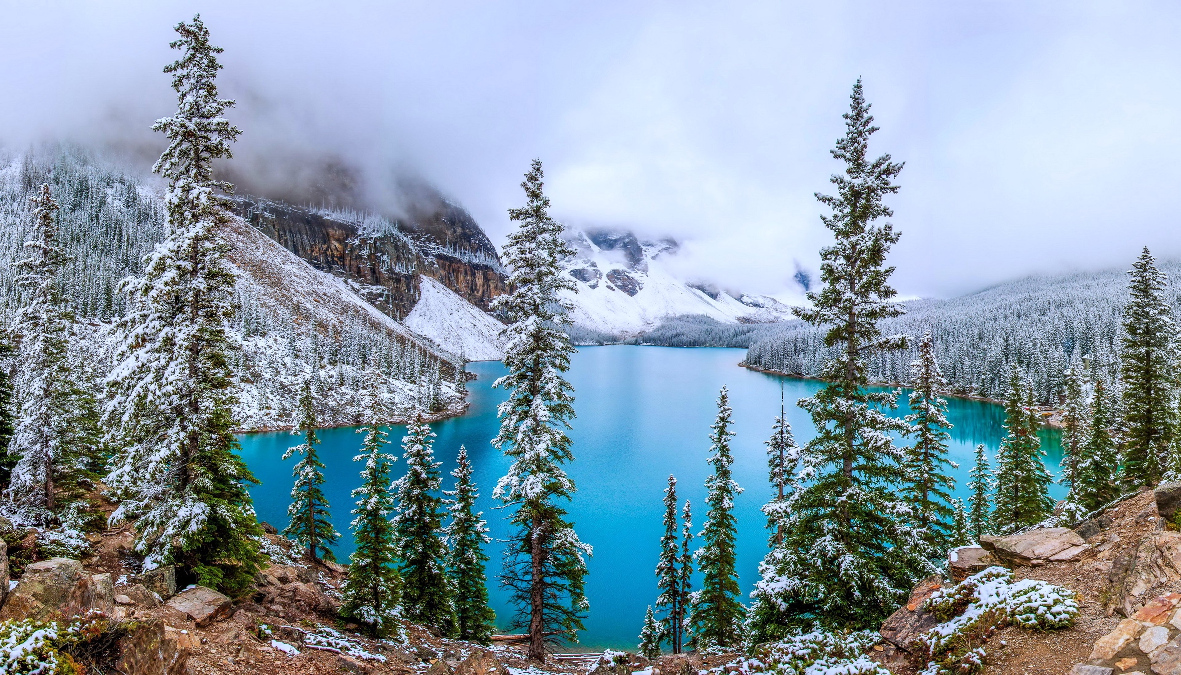 fog, Winter, Forest, Tree, Mountain, Snow, Lake Wallpaper