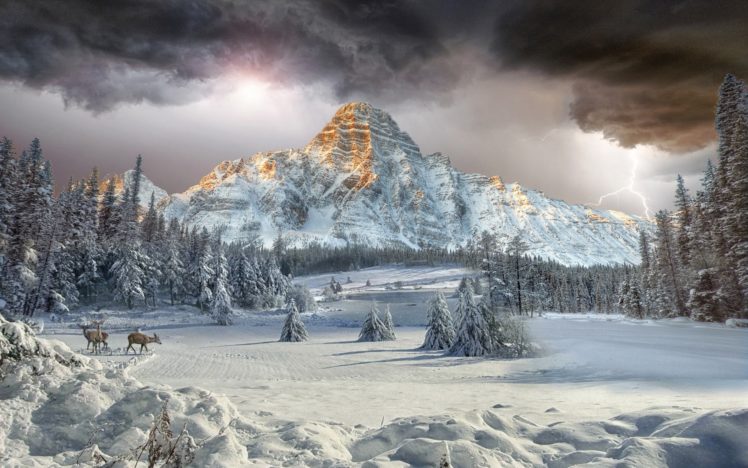 mount, Chephren, Canadian, Rockies, Vally, Winter, Landscape, Forest, Cloud, Mountain, Deer HD Wallpaper Desktop Background