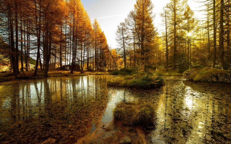 lake, Forest, Landscape, Nature, Autumn, Reflection HD Wallpaper Desktop Background