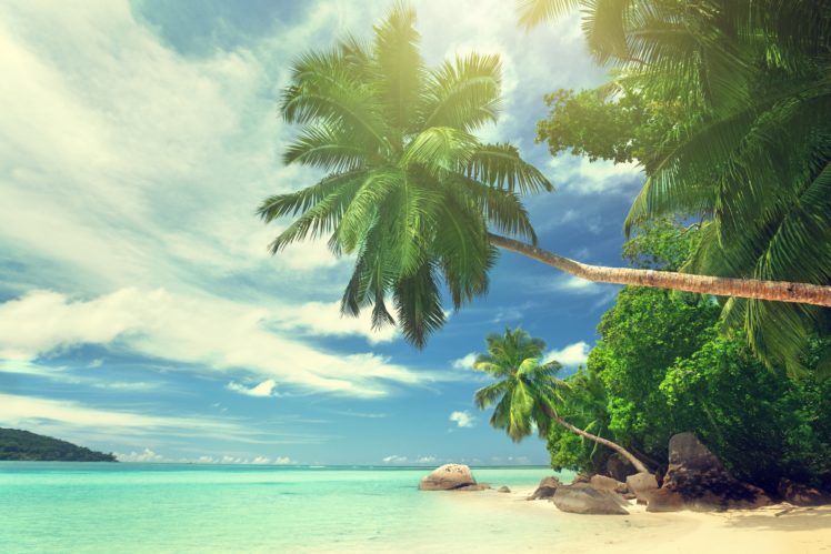 beach, Palm, Beach, Ocean, Sea, Tropical, Sky, Clouds HD Wallpaper Desktop Background