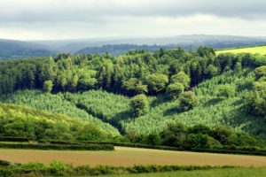 hill, Landscape, Nature, Green, Forest, Field, Countryside