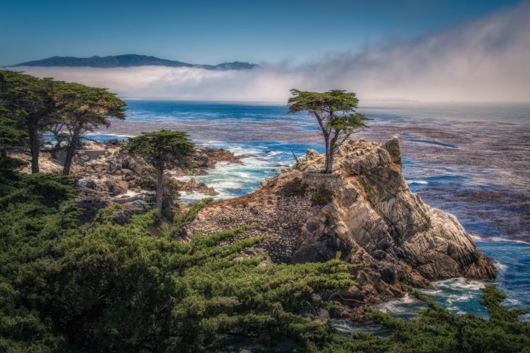 fog, Rock, Coast, Monterey, Bay, Monterey, Cypress, Sea, Ocean HD Wallpaper Desktop Background