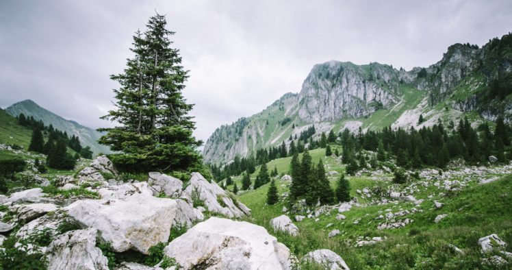 nature, Mountain, Rock, Tree, Landscape HD Wallpaper Desktop Background