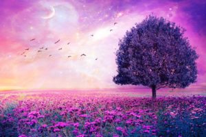 purple, Flower, Nature, Tree, Field, Lonely, Tree, Flower, Sky, Stars, Fantasy, Artwork