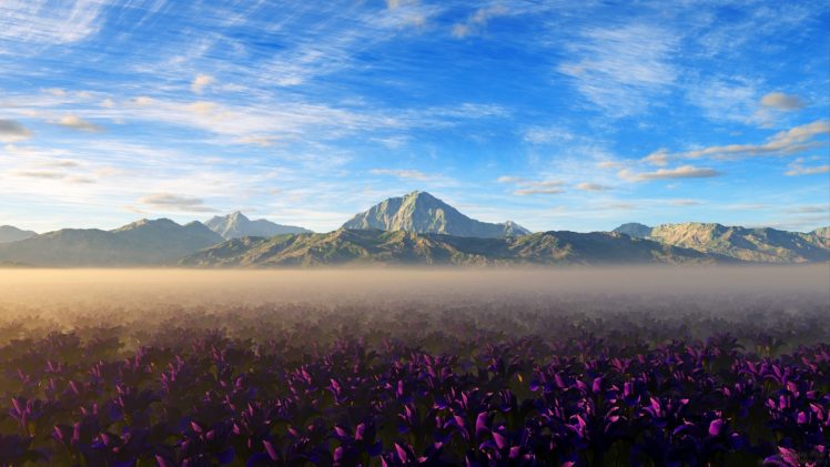 sky, Pink, Flower, Flower, Landscape, Fog, Field, Mountain, Cloud, Scenic, Nature HD Wallpaper Desktop Background