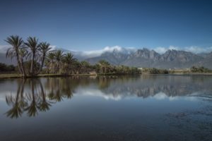 socotra, Island, Yemen, Mountain, Palm, Island, Fog, Landmark, Landscape, Reflection