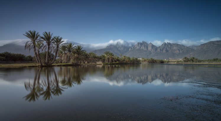 socotra, Island, Yemen, Mountain, Palm, Island, Fog, Landmark, Landscape, Reflection HD Wallpaper Desktop Background