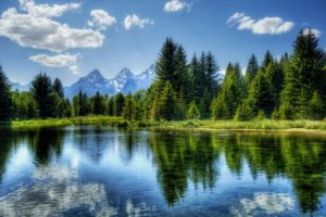 tree, Reflection, Lake, Water, Cloud, Mountain, Yellowstone, Wyoming, The, Teton, Range, Grand, Teton, National, Park, Landscape