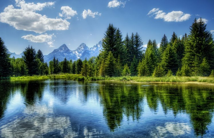 tree, Reflection, Lake, Water, Cloud, Mountain, Yellowstone, Wyoming, The, Teton, Range, Grand, Teton, National, Park, Landscape HD Wallpaper Desktop Background