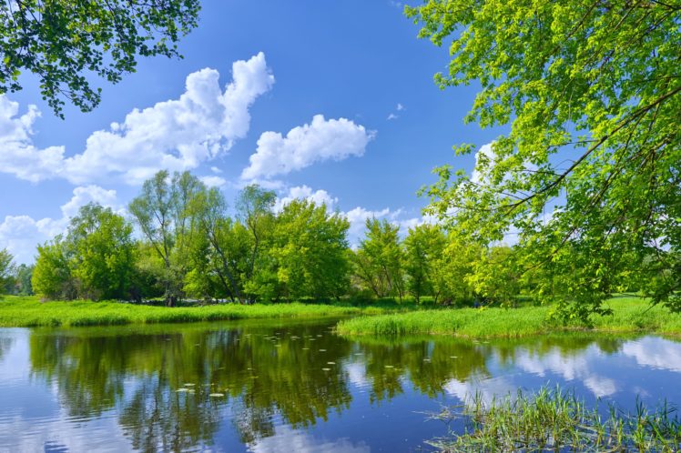 tree, Lake, Nature, Landscape, Sunny, Spring HD Wallpaper Desktop Background