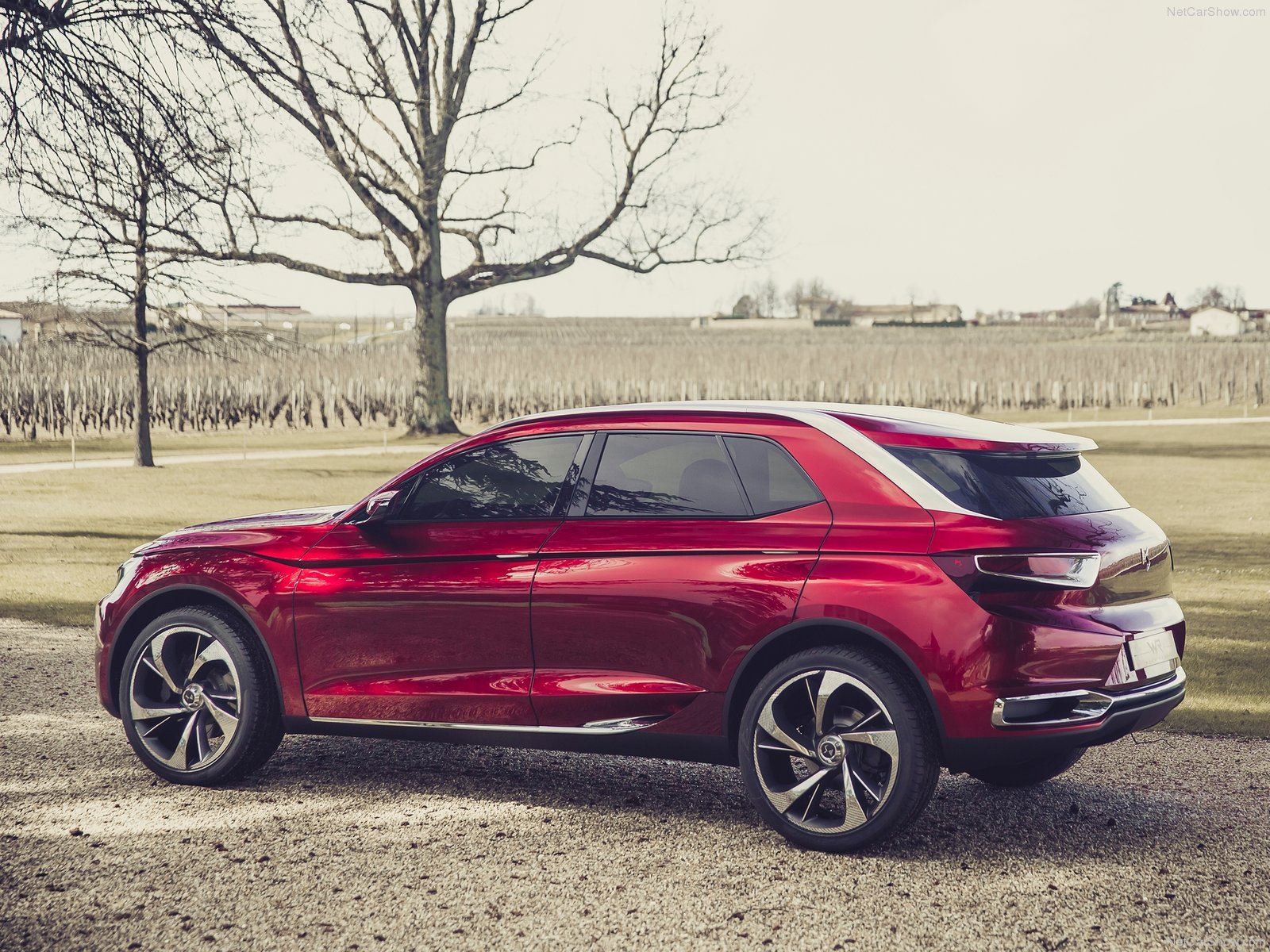 citroen ds, Wild, Rubis, Concept, Cars, 2013 Wallpaper