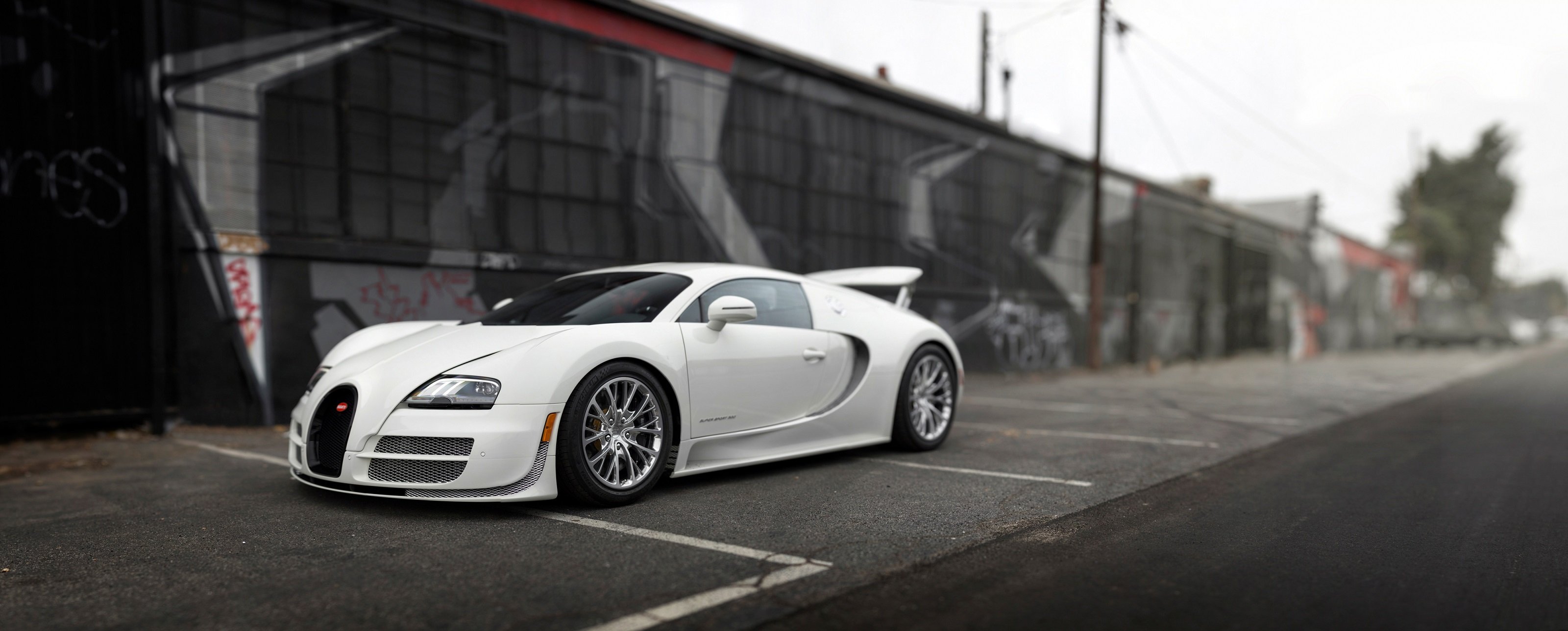 bugatti, Veyron, Super, Sport, Us spec, Cars, Supercars, White, 2010 Wallpaper