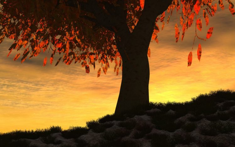 tree, Dried, Leaves HD Wallpaper Desktop Background