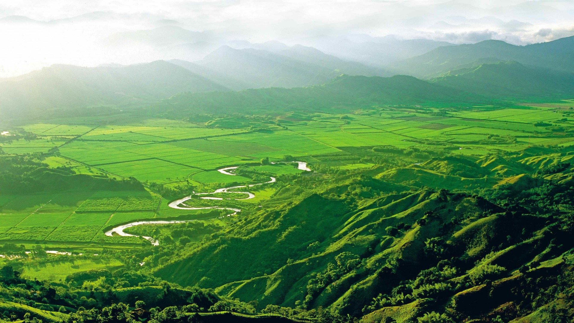 725541 Wallpaper