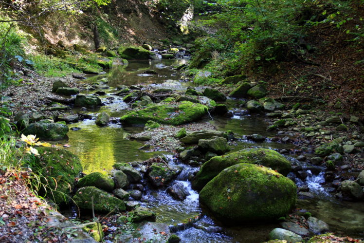 scenery, Stones, Moss, Stream, Nature, Rivers HD Wallpaper Desktop Background