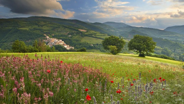 landscape, Beauty, Spring, Flowers, Growing HD Wallpaper Desktop Background