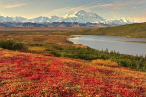 landscape, Beauty, Alaska, Spring, Scenery