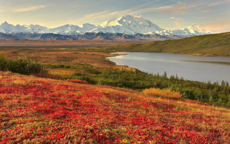 landscape, Beauty, Alaska, Spring, Scenery HD Wallpaper Desktop Background
