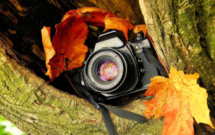 zenit, Camera, Tree, Leaf Wallpapers HD / Desktop and Mobile Backgrounds