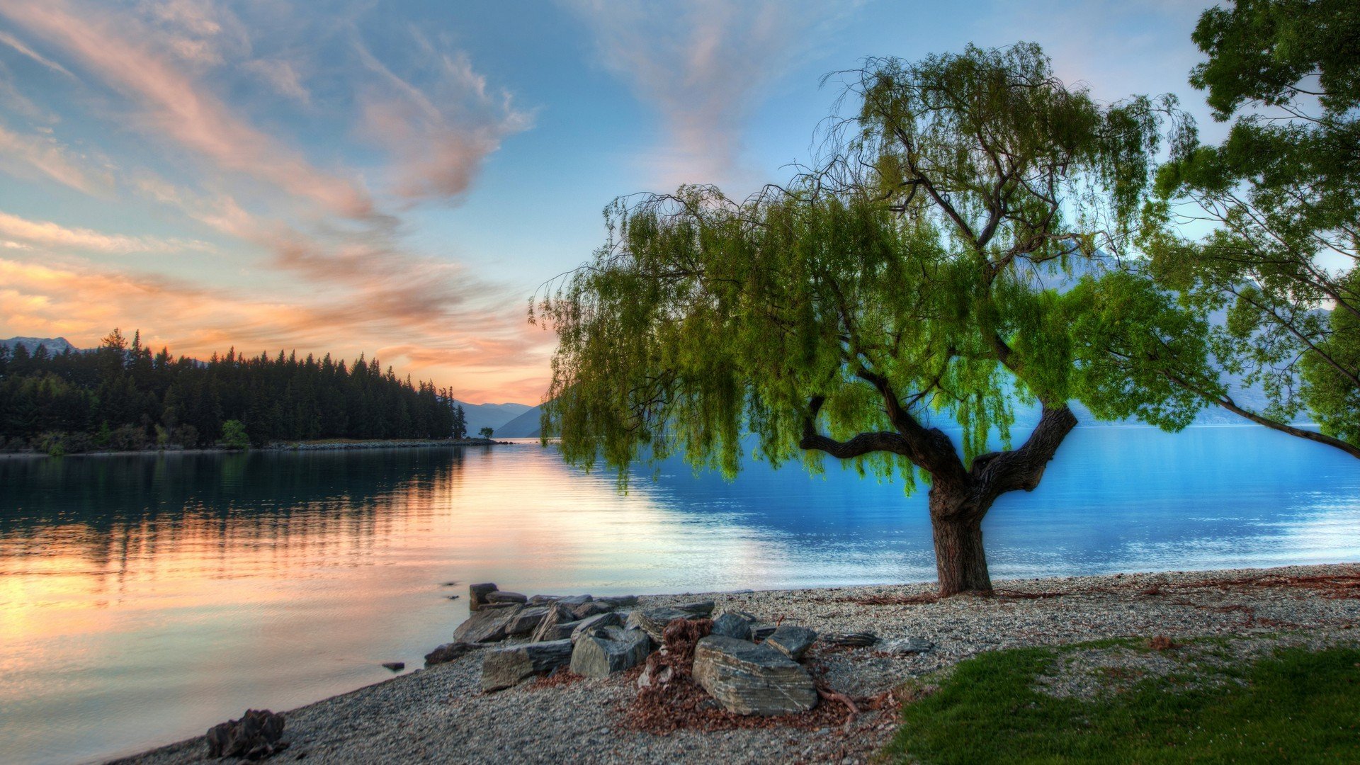 tree, At, The, Serene, Lake,  , New, Zealand Wallpaper