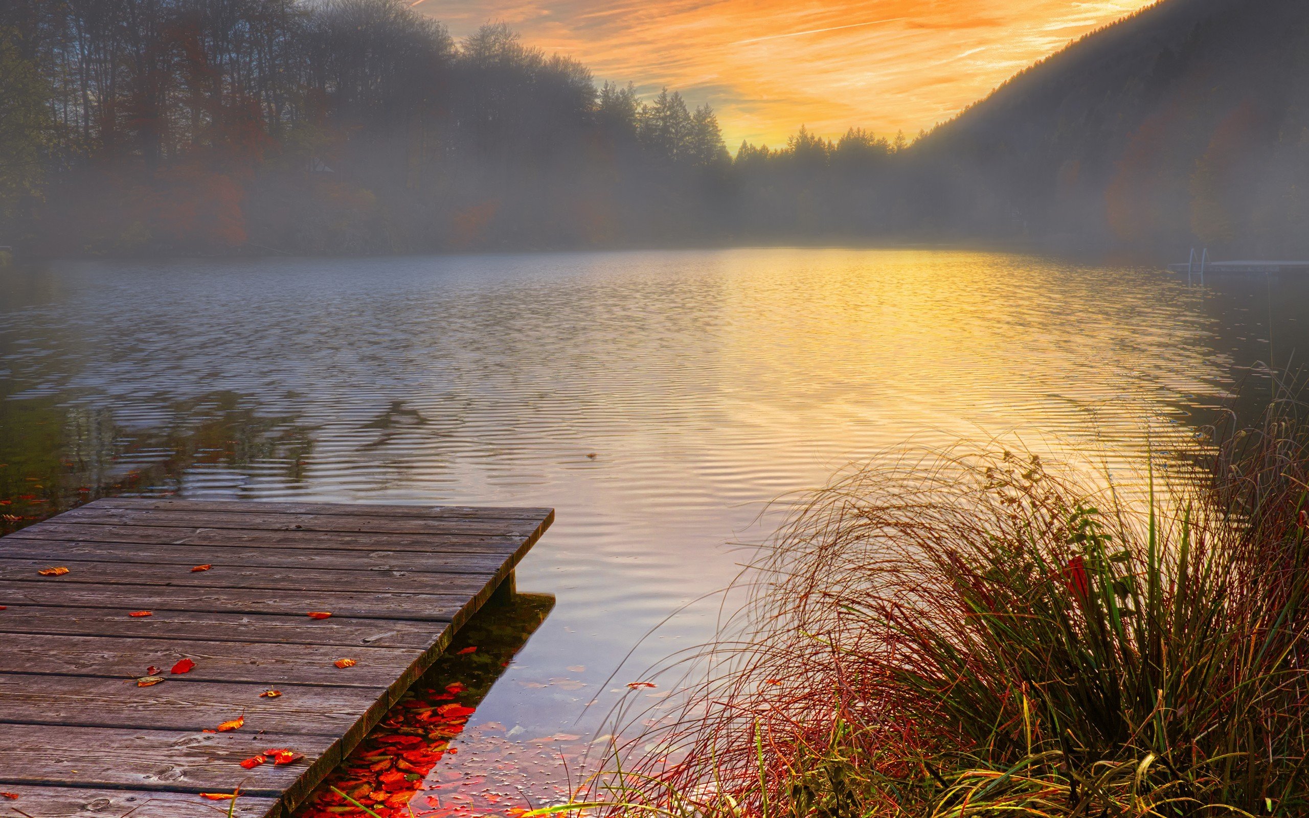 dock, Sunset, Leaves, Lake, Nature Wallpaper