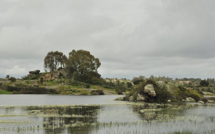 lake, Obloka, Trees, Horizon, Nature HD Wallpaper Desktop Background