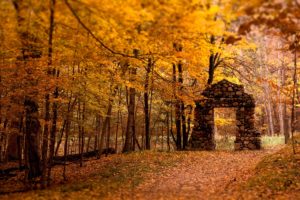 wall, Aperture, Wood, Stones, Autumn, Leaves, Trees