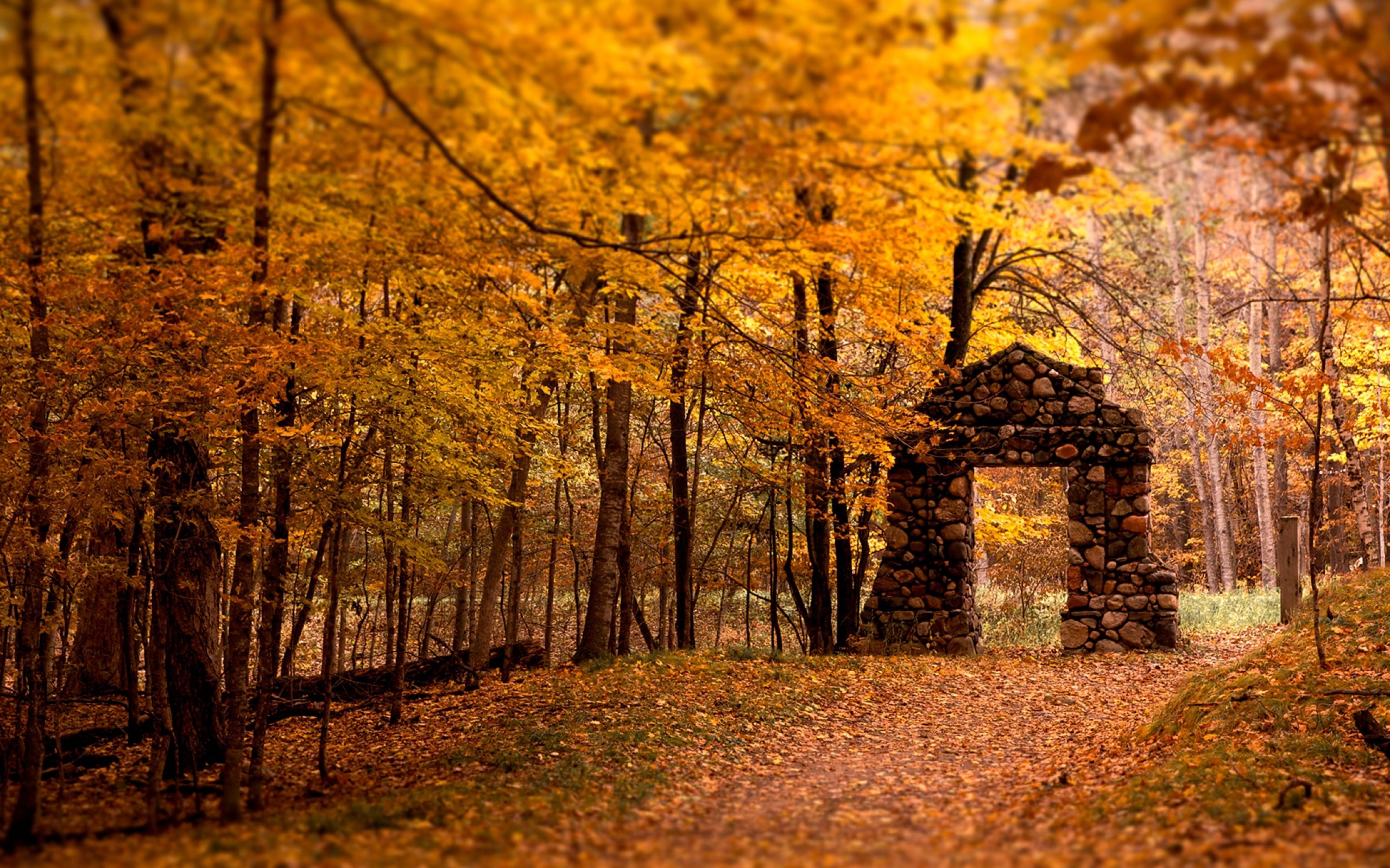 wall, Aperture, Wood, Stones, Autumn, Leaves, Trees Wallpaper