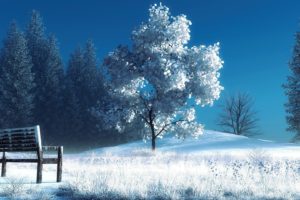 winter, Landscape, Nature, Snow, Bench, Trees