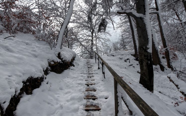 winter, Forest, Steps, With, Railings, Trees, Landscape HD Wallpaper Desktop Background