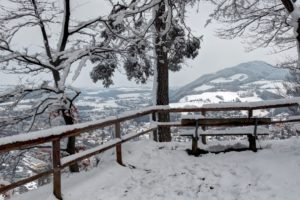 winter, Snow, Trees, View, From, The, Top, Bench, Landscape