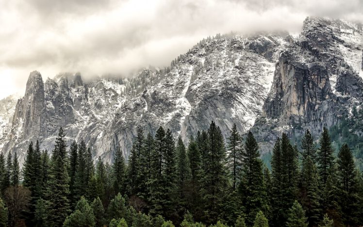 yosemite, California, Trees, Mountains HD Wallpaper Desktop Background