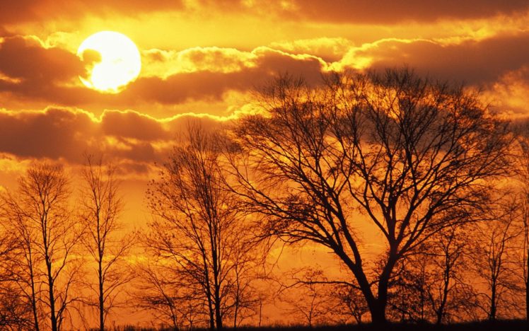 decline, Sun, Evening, Trees, Horizon HD Wallpaper Desktop Background