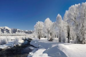 trees, Hoarfrost, Winter, River, Source, Current, Day
