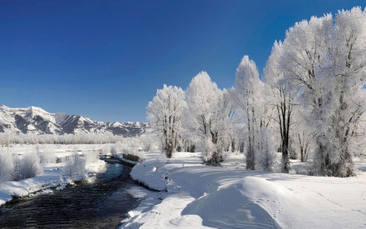 trees, Hoarfrost, Winter, River, Source, Current, Day HD Wallpaper Desktop Background