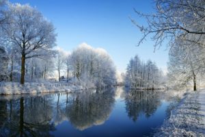 river, Park, Winter, Trees, Hoarfrost, Reflection