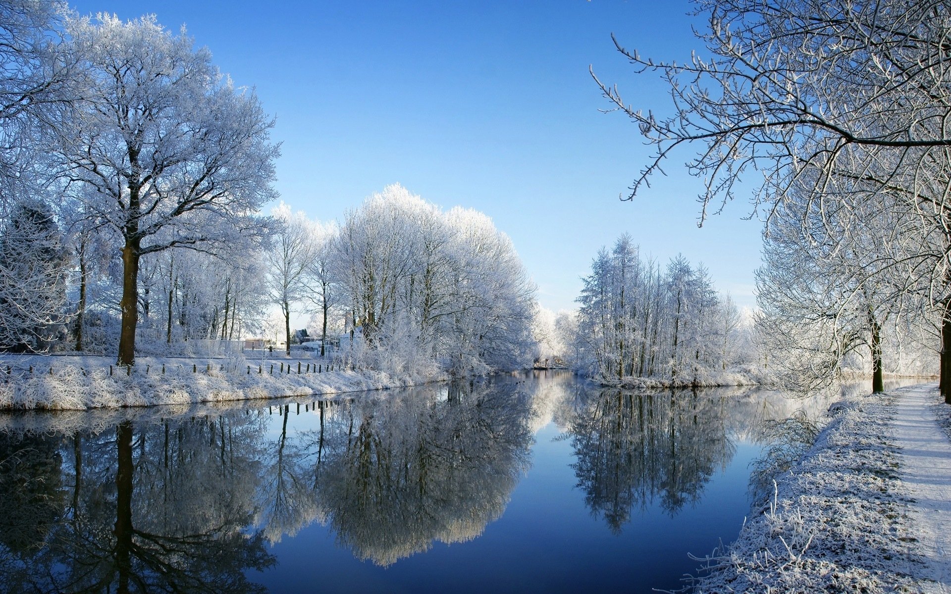 river, Park, Winter, Trees, Hoarfrost, Reflection Wallpaper