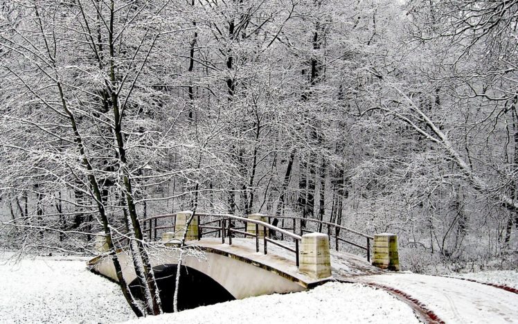 park, Bridge, Winter, Snow, Hoarfrost HD Wallpaper Desktop Background