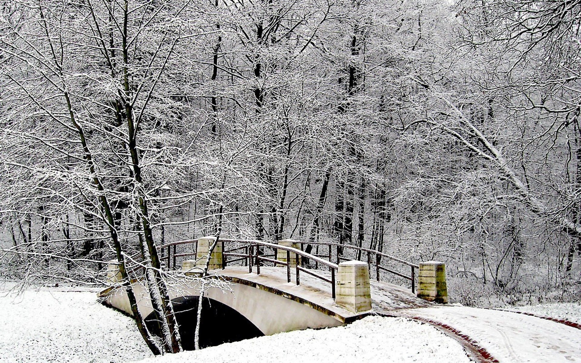 park, Bridge, Winter, Snow, Hoarfrost Wallpaper