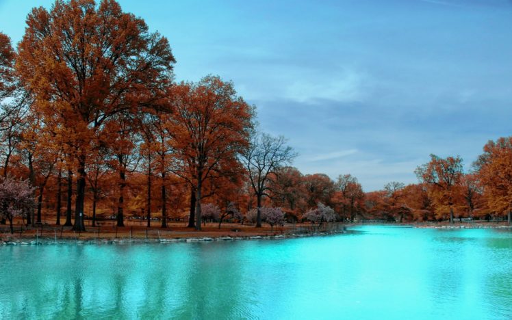 autumn, Park, Trees, Blue, Water HD Wallpaper Desktop Background