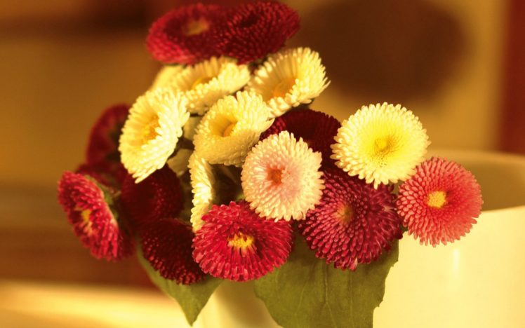 flowers, Bouquet HD Wallpaper Desktop Background