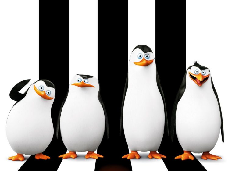 penguins, Of, Madagascar, Skipper, Kowalski, Penguins HD Wallpaper Desktop Background